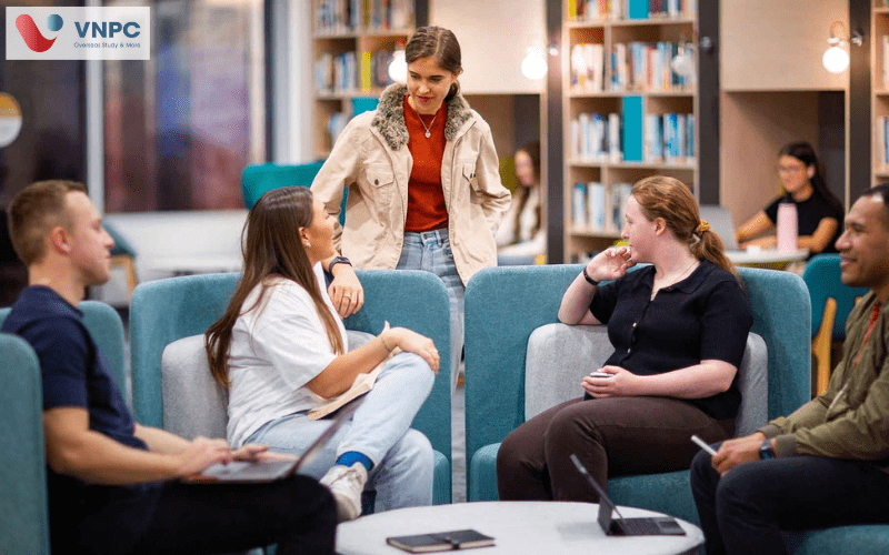 southern cross university
